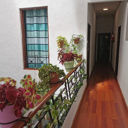 Pension Ronda Sol Exterior foto